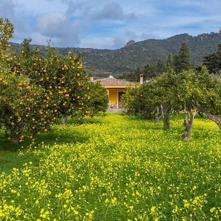 A Charming Country Cottage + Bikes And Kayaks 博萨 外观 照片