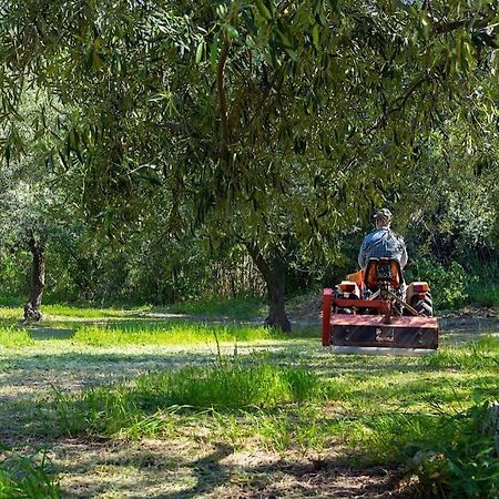A Charming Country Cottage + Bikes And Kayaks 博萨 外观 照片