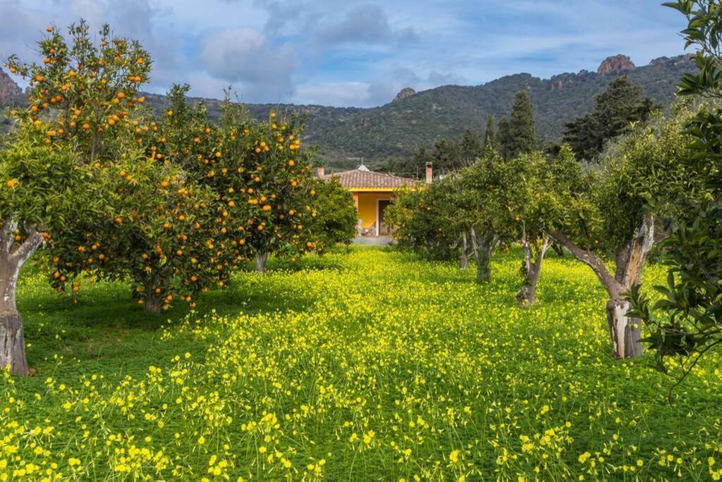A Charming Country Cottage + Bikes And Kayaks 博萨 外观 照片