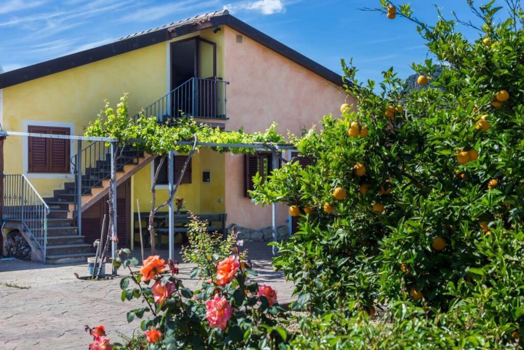 A Charming Country Cottage + Bikes And Kayaks 博萨 外观 照片