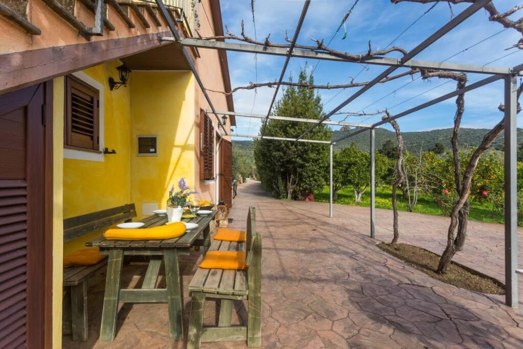 A Charming Country Cottage + Bikes And Kayaks 博萨 外观 照片