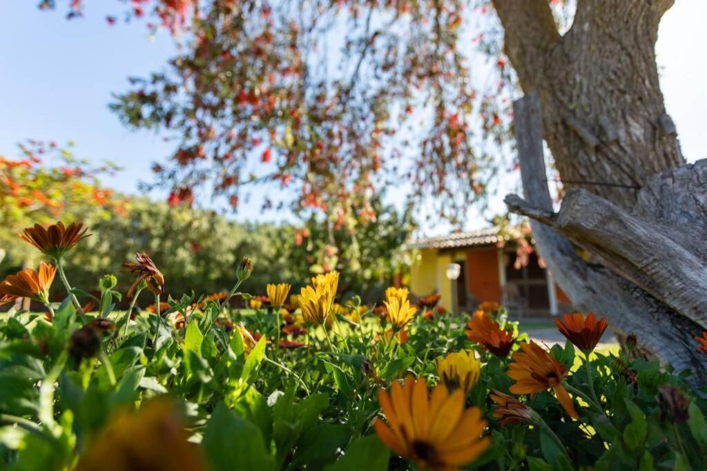 A Charming Country Cottage + Bikes And Kayaks 博萨 外观 照片