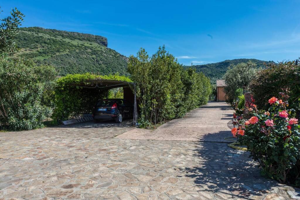 A Charming Country Cottage + Bikes And Kayaks 博萨 外观 照片